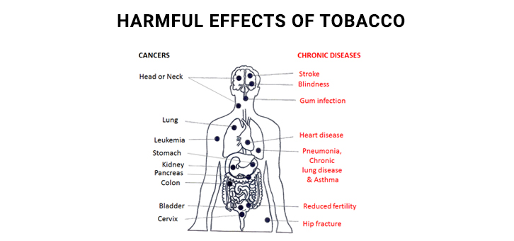 Tobacco and Cancer - Is it really related