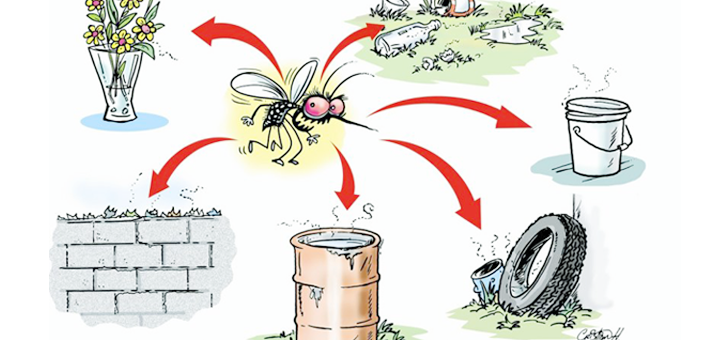 Precautionary Steps to Cure Dengue