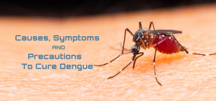Precautionary Steps to Cure Dengue