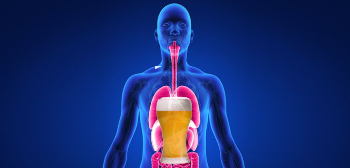 Yes, Your Body Can Produce Alcohol On Its Own